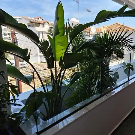 Carisa Deluxe With Jacuzzi Апартаменты