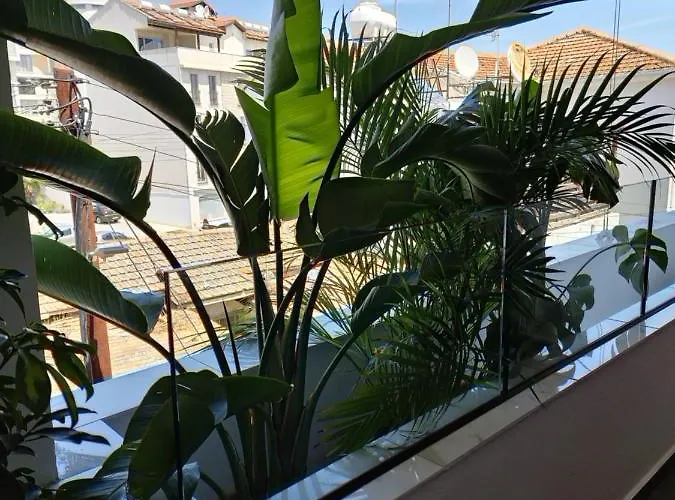 Carisa Deluxe With Jacuzzi Appartamento