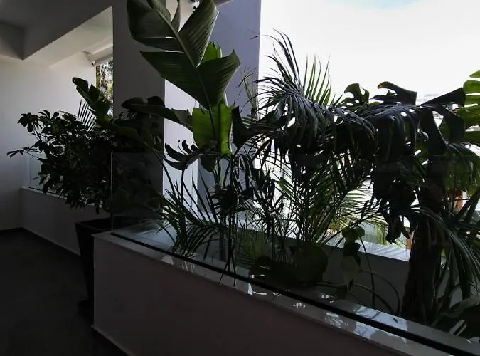 Carisa Deluxe With Jacuzzi *